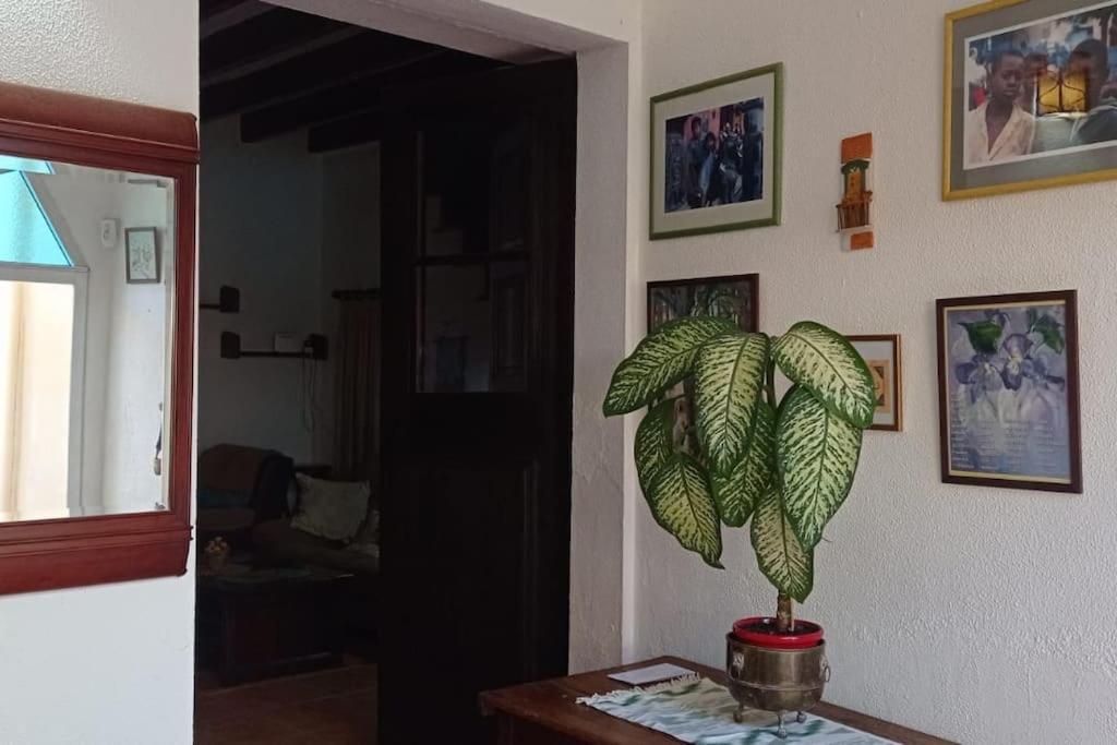 Ca Na Perereta Holiday home