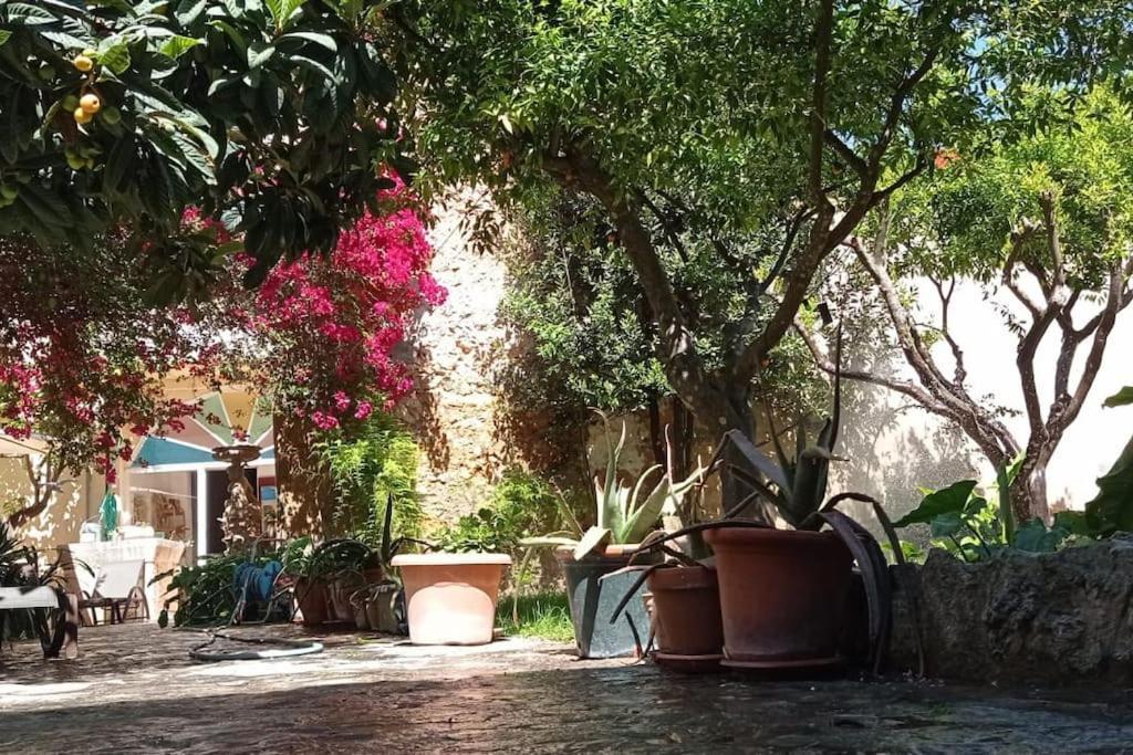 Ca Na Perereta Holiday home